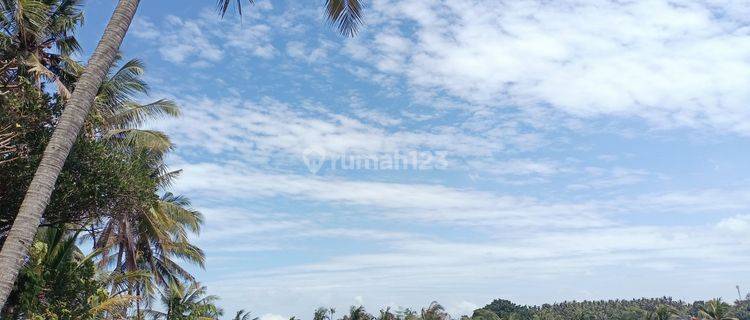 Dijual Tanah Murah Saba Gianyar Bali View Bagus & Dipinggir Jalan  1