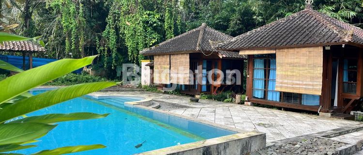 VILLA ALAMI DENGAN CABANA ROOM – PAYANGAN, UBUD  1