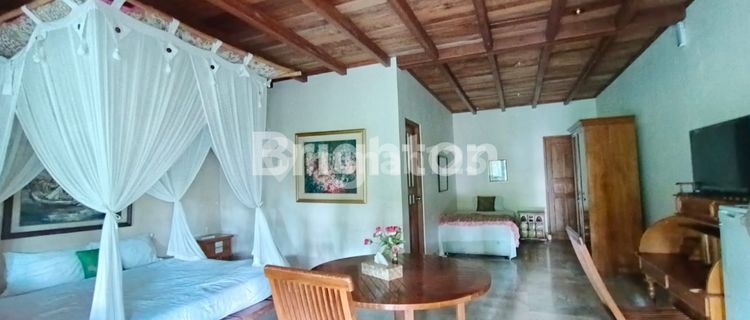 THE LAKE VILLA – VILLA ASRI DENGAN SUASANA ALAM DI PAYANGAN 1