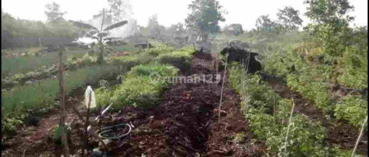 Jual Murah Tanah perkebunan Luas 4.080 m2 di Landasan Ulin,dkt Bandara 1