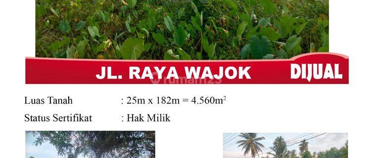 Di Jual Tanah Jl. Raya Wajok, Pontianak Indonesia Dengan Ukuran Luas Tanah 4560 Meter Persegi 1