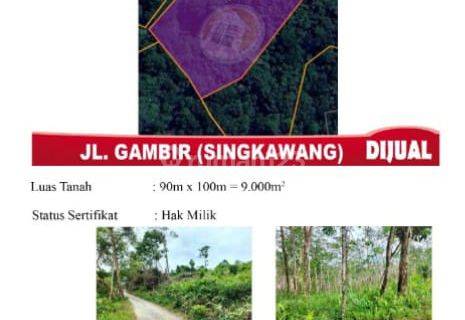 Di Jual Tanah Jl. Gambir, Singkawang Indonesia 1