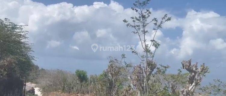 Land Freehold 16330 Sqm In Pecatu 1