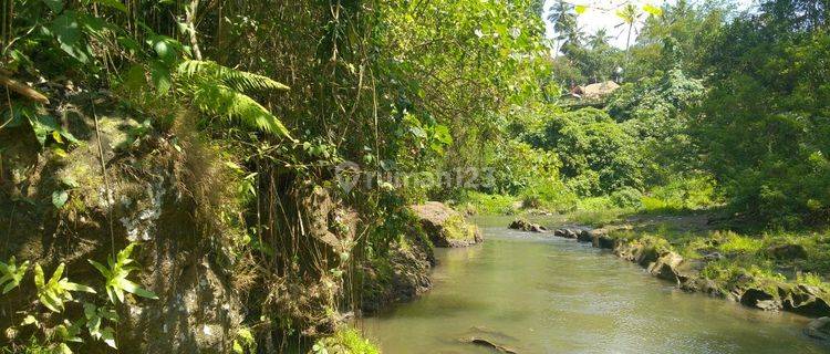 Freehold 1.500 Sqm Land With Stunning Views Of Valley And River In Ubud Terraced Contours, Perfect For Luxury Villas 1