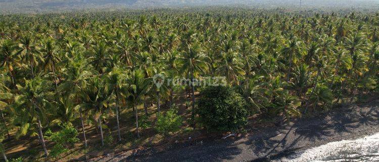 Leasehold Exclusive Beachfront Land In Tejakula, Buleleng A Rare Investment Opportunity 1