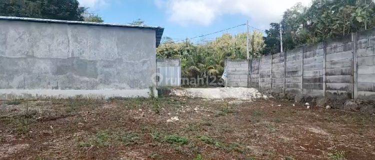 Land 2300 Sqm Freehold In Ungasan Pecatu 1