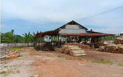 Jual Pabrik Rotary Dan Sawmill Operasional Di Kota Jember Sukowono 1