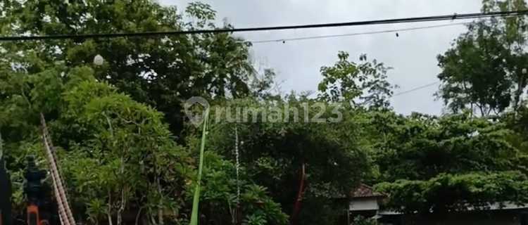 Jual Rumah Raya Karangmojo Ex Resto Nol Jalan Raya Gunungkidul Yogyakarta 1