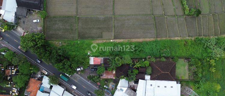 Tanah Memanjang Akses Jalan Utama Di Mengwi Badung 1