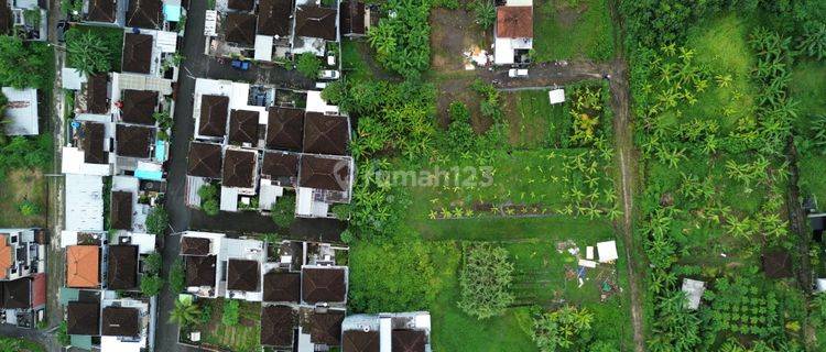 Tanah Siap Bangun Area Pemukiman Di Jalan Pantai Kedungu 1