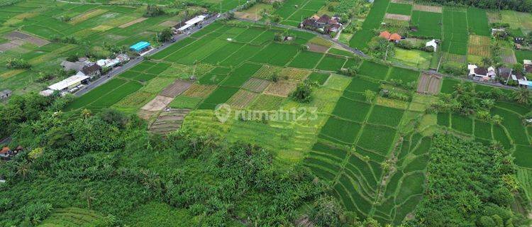 Tanah Sawah View Gunung Di Badung Desa Sibang Gede 1