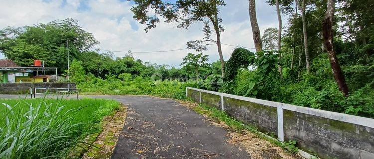 Tanah Murah Purwomartani, Sleman, View Sawah Dan Gunung 1