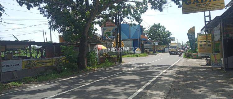 Tanah Murah Selomartani, Sleman SHM 99 M², Prospek Ahaunian 1