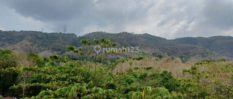 Tanah Murah Sleman, 1 Km Puncak Sosok, Lahan Prospektif 1