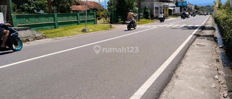 Tanah Sawah Murah Strategis Dijual Jalan Kota Magelang Bandongan 1