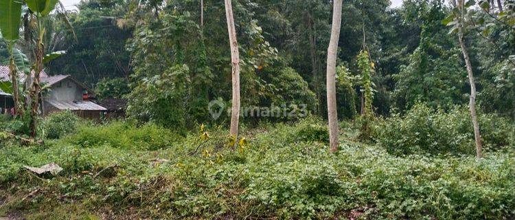 Tanah Pekarangan 1300 Meter Harga 200jt Di Purworejo 30 Menit Dari Bandara Yia Tanah Di Banyuurip 1200.0 M² 1