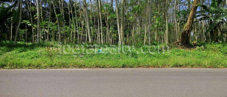 Tanah Murah Dijual Magelang Dekat Candi Borobudur Jawa Tengah 1
