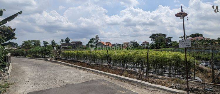 Jual Tanah 1 Juataan m Selomartani SHM 40m Jl.cangkringan  1