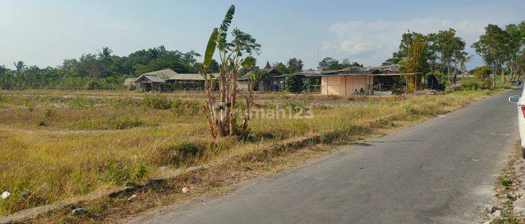 Tanah Ngaglik Jogja Siap Bangun SHM 500m Masjid Suciati Saliman 1