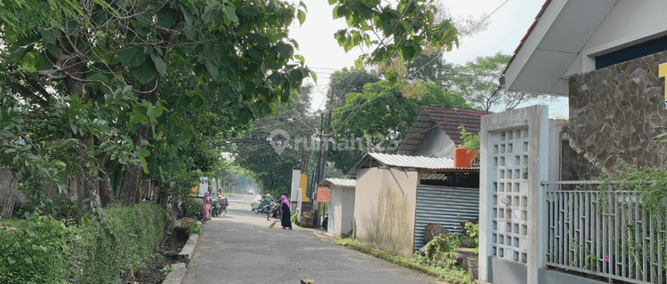 Tanah Ngaglik Jogja 300 Jl.raya Palagan Beli Sekarang Juga  1