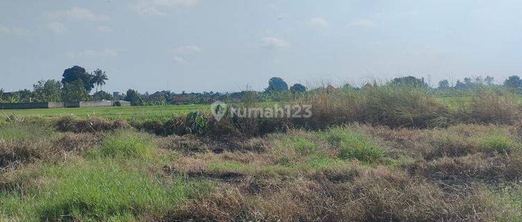 Dijual Lahan Tanah Plot Kecil Di Mengwi 2 are 1