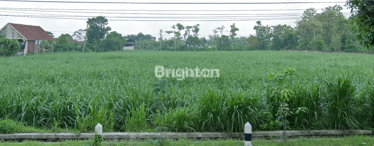 TANAH LUAS DAN STRATEGIS 0 JALAN RAYA PROVINSI 1