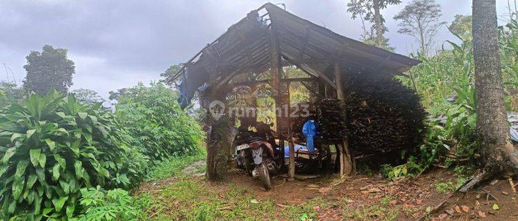 Dijual Tanah Disukabumi Dengan Luas 4,513m² 1