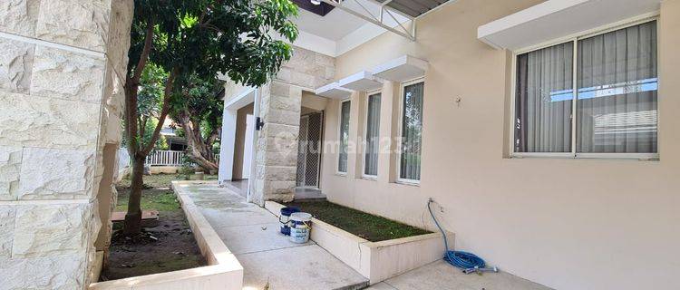 Rumah Bagus Semi Furnished HGB di Darmo Permai Timur, Surabaya 1