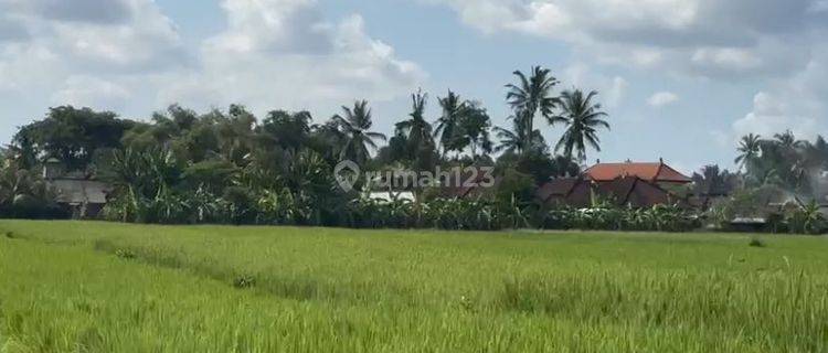 For Sale 26 Are Land On Jl Pantai Kedungu Vv05kdg 1