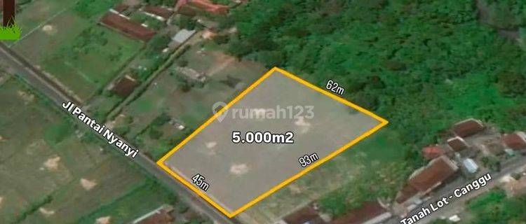 Cheap Land For Lease At Jalan Pantai Nyanyi Tabanan Near Nuanu 1