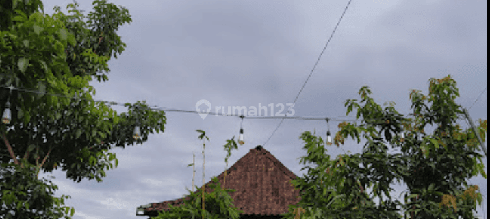 Di Ruang Usaha Cocok Di Jadikan Coffe Shop Atau Tempat Makan 1