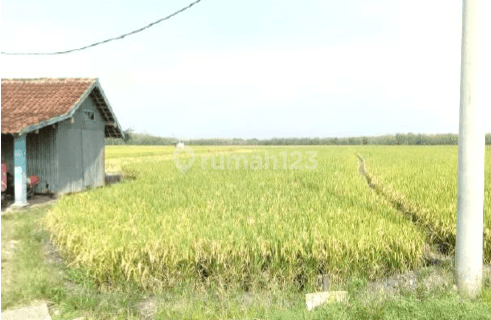 Tanah Murah Aset Mandiri, Kabupaten Ngawi 1