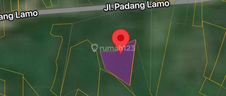 Tanah Murah Aset Mandiri, VII Koto, Jambi 1