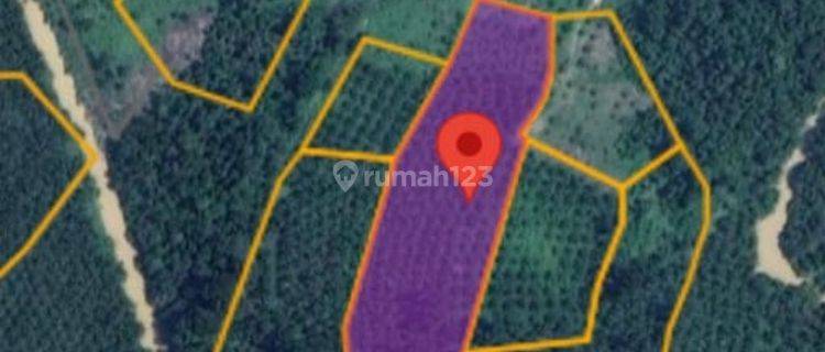 Tanah Murah Aset Mandiri, Nalo Tantan, Jambi 1
