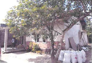 Rumah Murah Aset Mandiri, Lombok Tengah, Nusa Tenggara Barat 1