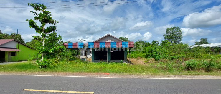 Affordable Home, Independent Asset, Kahayan Hilir, Central Kalimantan 1