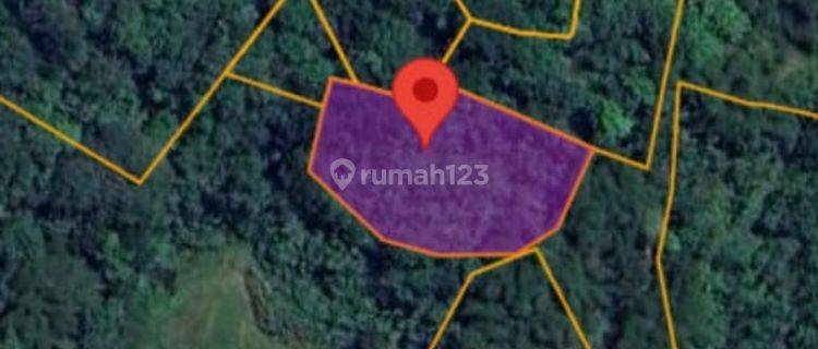 Tanah Murah Aset Mandiri, Koto VII, Sumatera Barat 1