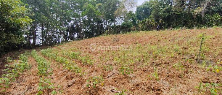 Tanah Aset Mandiri di Kab. Sukabumi, Jawa Barat 1