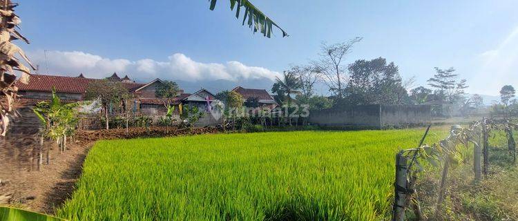 Tanah Aset Mandiri di Majalengka 1