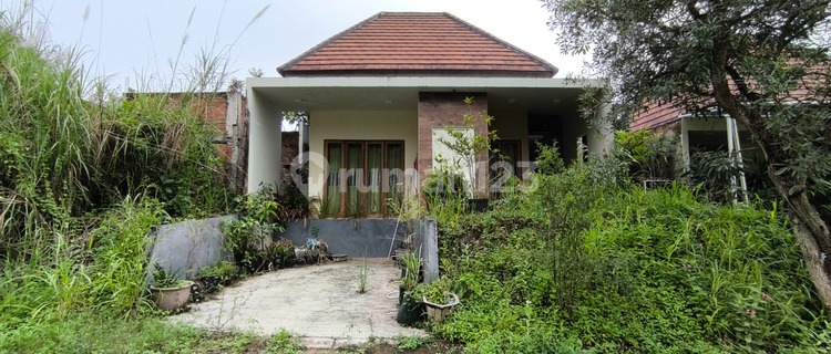 Rumah Tinggal 1 Lantai 1