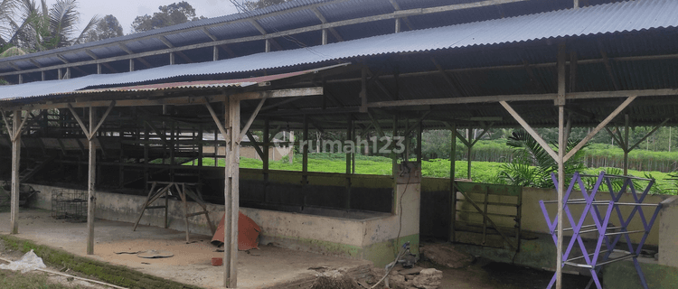 Ruang Usaha Murah Aset Mandiri, Kabupaten Serdang Bedagai, Provinsi Sumatera Utara 1