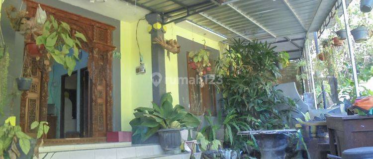 Rumah Murah Aset Mandiri, Tabanan Bali 1