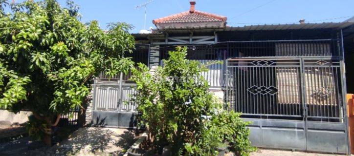 Rumah Murah Aset Mandiri, Kab Probolinggo 1