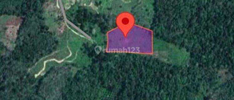 Tanah Murah Aset Mandiri, Nalo Tantan, Jambi 1