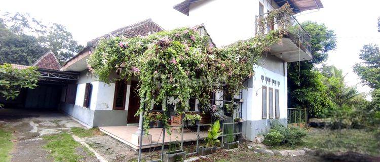 Rumah Murah Aset Mandiri, Kota Banyuwangi 1