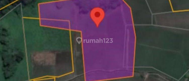 Tanah Murah Aset Mandiri, Pulau Punjung, Sumatera Barat 1