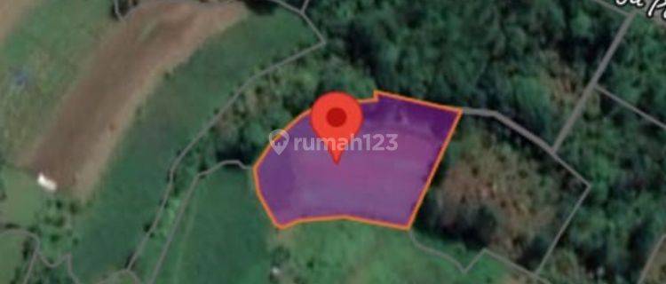 Tanah Murah Aset Mandiri, Sungai Tarab, Sumatera Barat 1