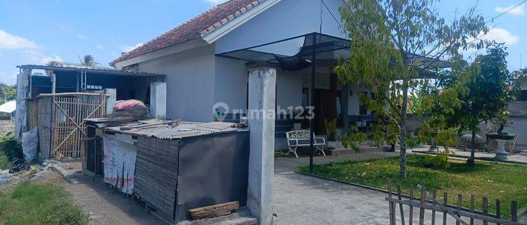 Rumah Murah Aset Mandiri, Masbagik, Lombok Timur, Nusa Tenggara Barat 1