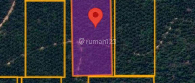 Tanah Murah Aset Mandiri, Maro Sebo Ilir, Jambi 1