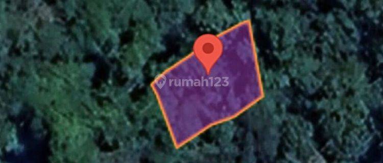 Tanah Murah Aset Mandiri, Lintau Duo, Sumatera Barat 1